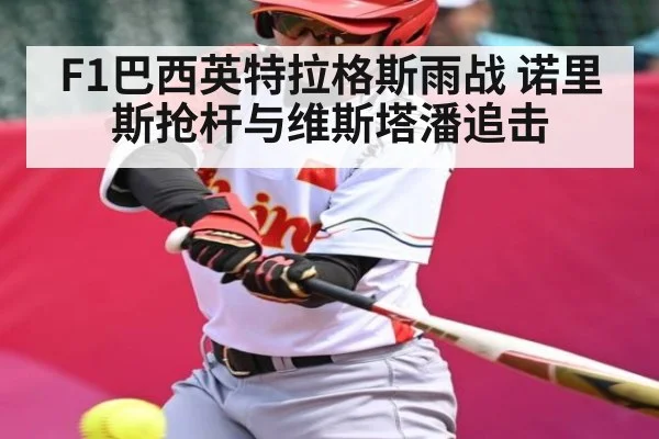 F1巴西英特拉格斯雨战 诺里斯抢杆与维斯塔潘追击